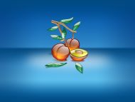 Desktop Wallpapers » 3D Backgrounds » Peach in Blue Background » www