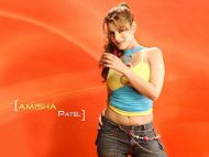 Amisha Patel HQ Wallpapers | Amisha Patel Wallpapers - 5608 - Oneindia  Wallpapers