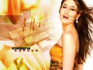 100+] Kareena Kapoor Pictures | Wallpapers.com