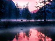 Desktop Wallpapers Natural Backgrounds Mystical Waters Yosemite