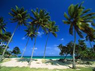 Bacardi Beach, Cayo Levantado, Dominican Republic