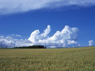 Beautiful Sky and Clouds