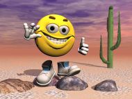 Desert Smiley