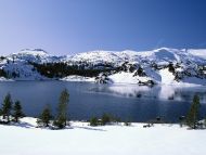 Emerging Winter, Yosemite National Park