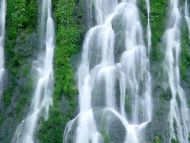 Gifford Pinchot National Forest, Washington