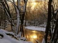 Harpeth River Winter Sunrise, Williamson County