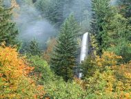 Latourell Falls, Columbia River, Oregon