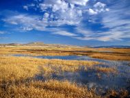 Lower Klamath Lake National Wildlife Refuge, California