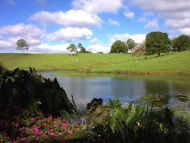 Maleny, Lagoon