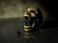 Marbles in a Skull