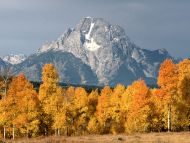 Mount Moran in Autumn, Wyoming