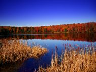 Natural View, Pennsylvania