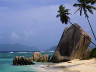 Palm, Beach, With, Rocks