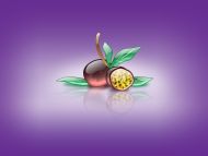 Passionfruit in Lavender Background