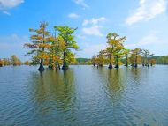 Reelfoot Lake