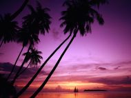 Sailing in Paradise, Tahiti, French Polynesia