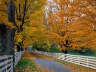 Scenic Backroad, New Hampshire