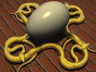 Snakes Eggs
