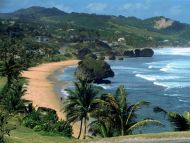 Tropical Bathsheba, Barbados, West Indies